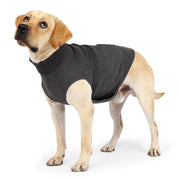 Pet Polyester Emotional