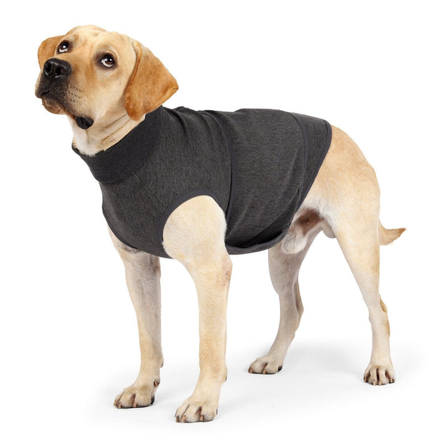 Pet Polyester Emotional