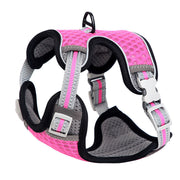 Pet Cat Chest Strap
