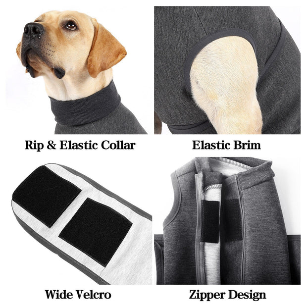 Pet Polyester Emotional